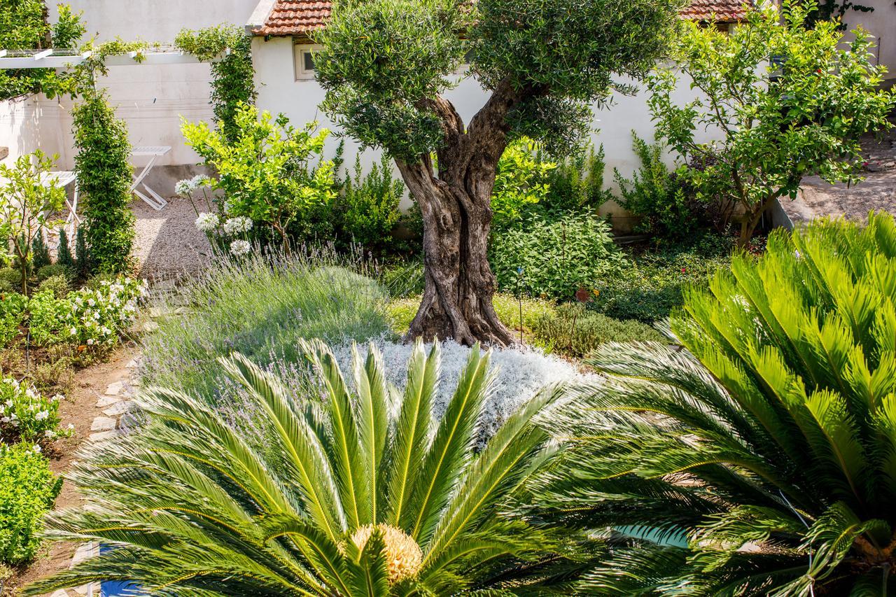 Regginè Holiday Apartments Sant'Agnello Extérieur photo